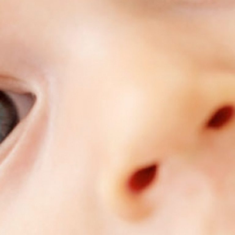 beb-bizco-nl6y5rpnle77o8fl2hljvwpagbd5hshoxo0ei3ckhk